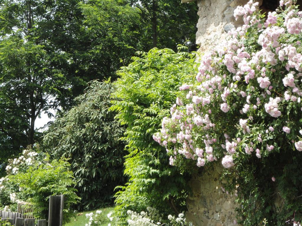 Un Gite De Charme En Haute Provence Villa Sigoyer  Bilik gambar