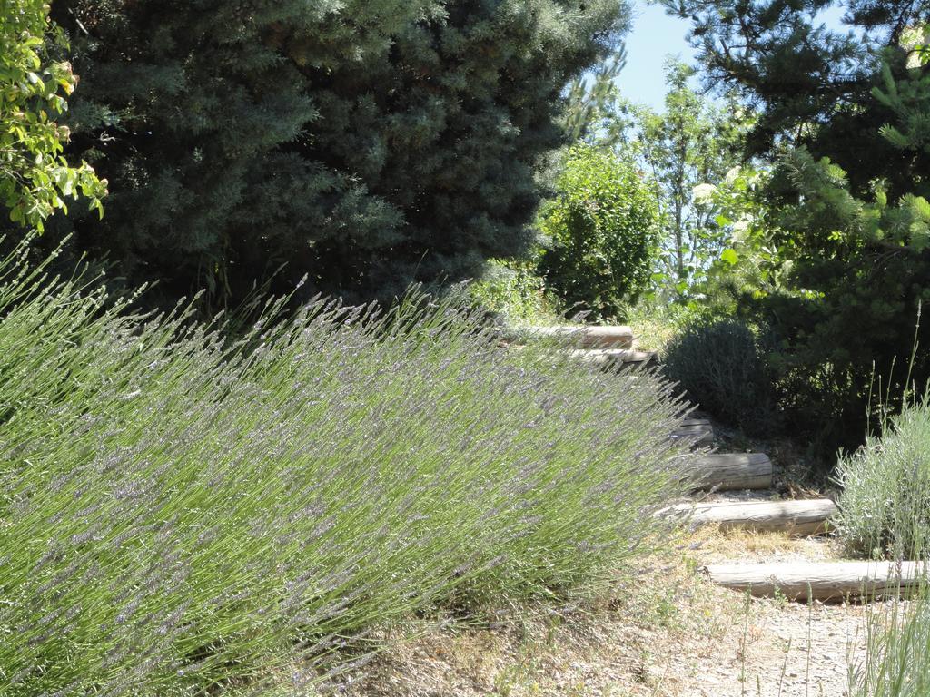 Un Gite De Charme En Haute Provence Villa Sigoyer  Bilik gambar