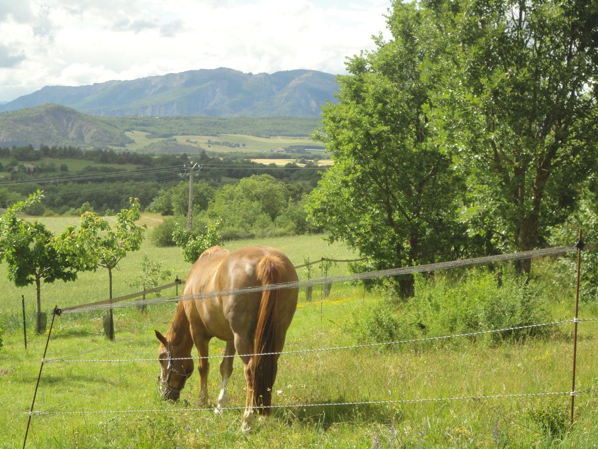 Un Gite De Charme En Haute Provence Villa Sigoyer  Luaran gambar