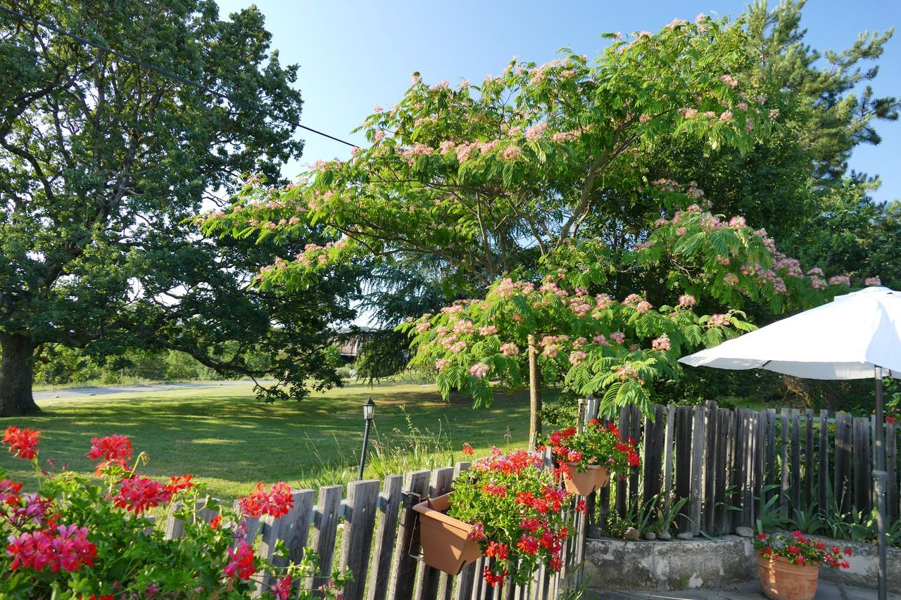 Un Gite De Charme En Haute Provence Villa Sigoyer  Luaran gambar